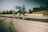 Three cyclists ride swiftly along a highway with blurred motion indicating speed. They are in a competitive stance, wearing helmets and athletic gear. There are road signs and trees in the background.