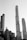 A monochromatic photograph featuring a skyline of modern skyscrapers with geometric designs. The tallest building rises prominently at the center, surrounded by a mix of other high-rise buildings. The iconic Essex House sign is visible on one of the buildings.
