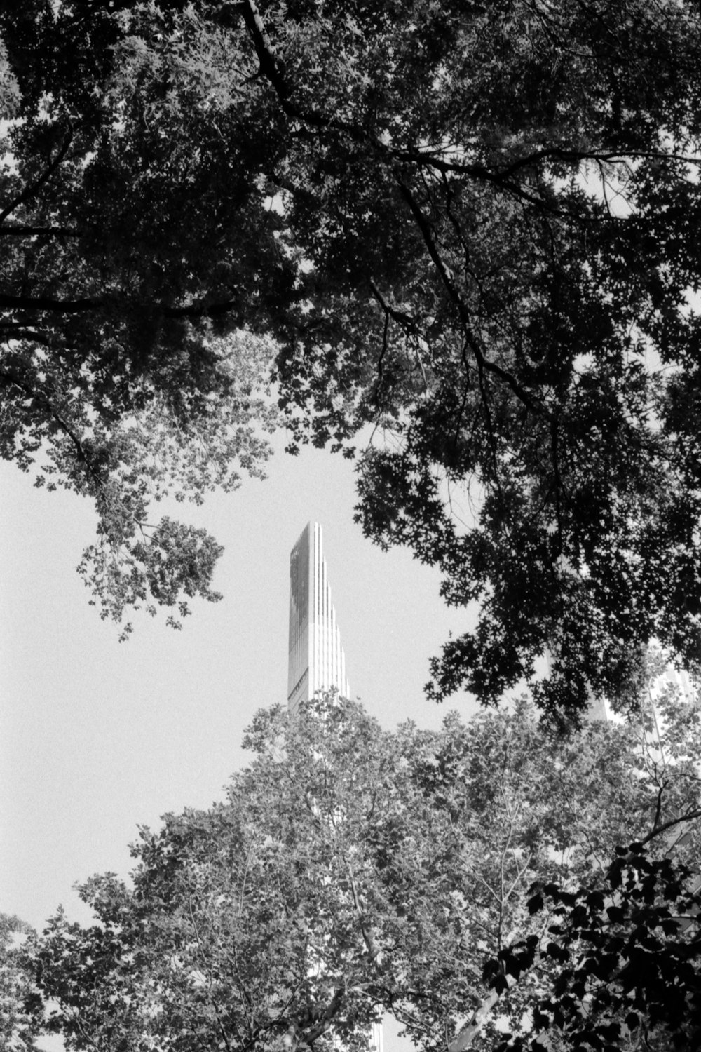 a tall building towering over a forest filled with trees