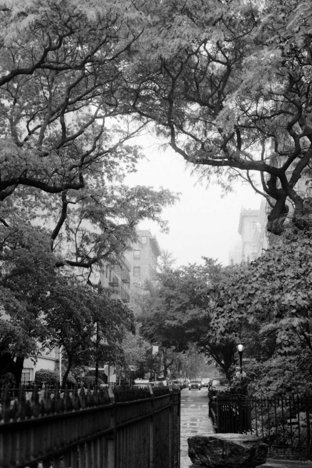 a black and white photo of a city park