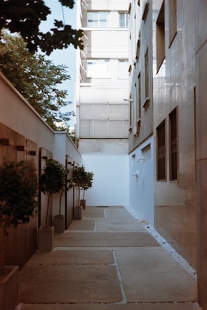 A narrow courtyard lined with small trees in rectangular planters is bordered by tall buildings. The space features a modern, minimalist design with large stone tiles on the ground and minimal decoration. Natural light from the sky above highlights the clean lines and angles, creating a peaceful urban setting.