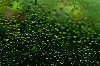 Small water droplets are densely scattered across a glass surface with a green background. The droplets vary in size, creating a pattern and reflecting the surrounding green environment.