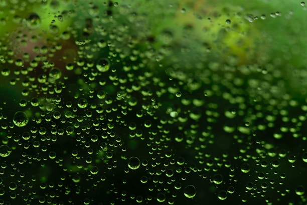 Small water droplets are densely scattered across a glass surface with a green background. The droplets vary in size, creating a pattern and reflecting the surrounding green environment.