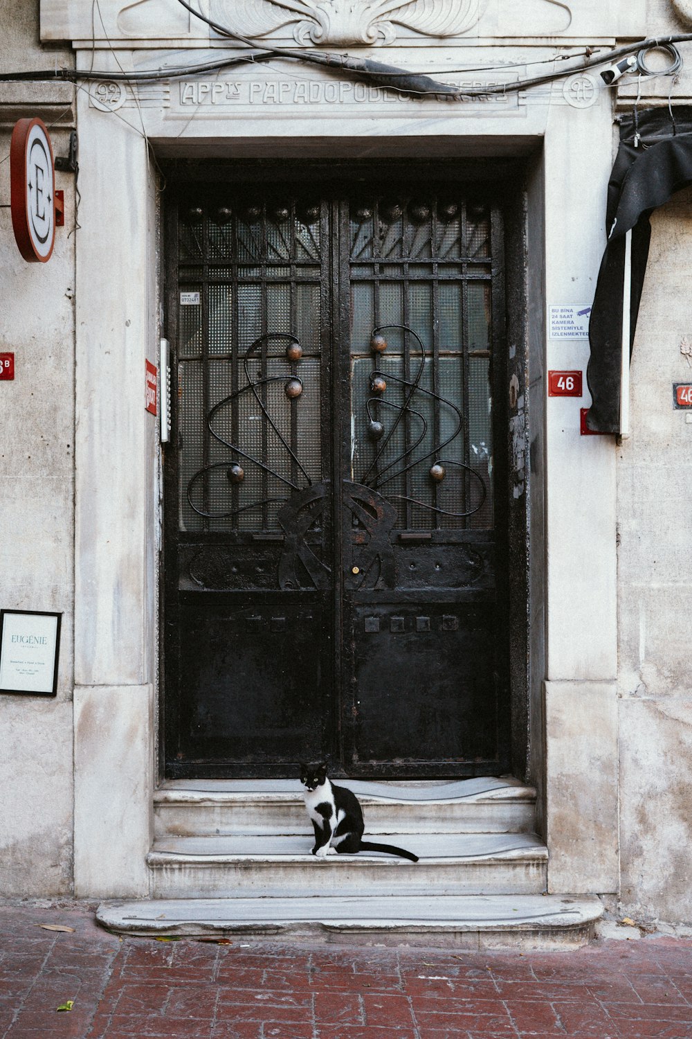 a black and white cat sitting in front of a door