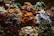 A variety of dried fruits are displayed in an arrangement, with distinct piles showcasing vibrant colors and textures. The assortment includes slices of oranges, apples, limes, and coconut, among others. The rich, organic hues create a visually appealing, rustic theme.