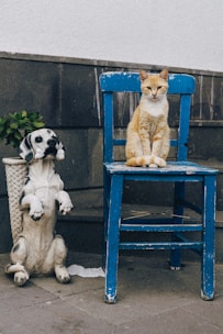 a cat sitting on top of a blue chair next to a dog