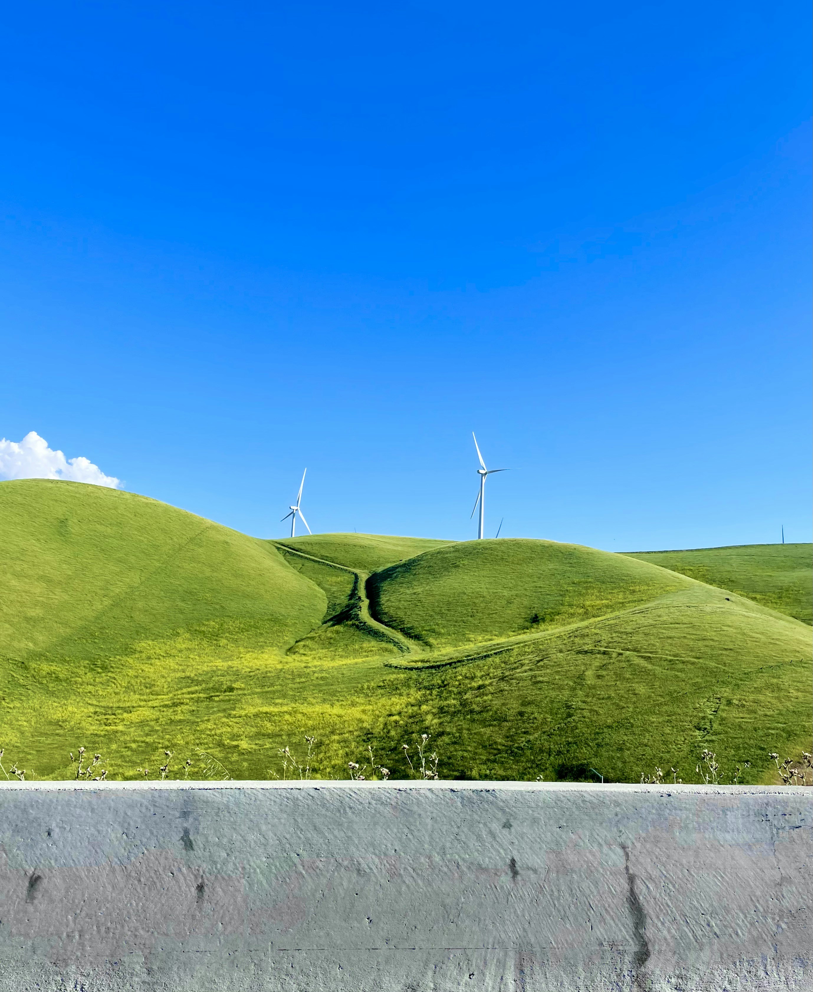 Wind turbines in a grassland landscape