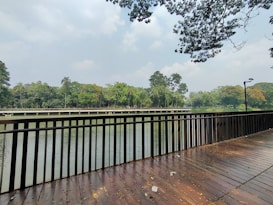 A serene lakeside scene featuring a wooden deck with a railing in the foreground. The deck is slightly damp, possibly indicating recent rain. Beyond the deck, a calm body of water stretches out, surrounded by lush trees in various shades of green, with some orange hues suggesting seasonal changes. Overhead, the sky is partly cloudy, with patches of sunlight filtering through.