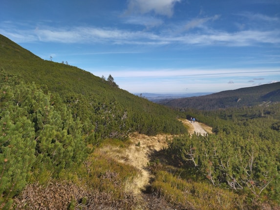 A scenic mountainous landscape with lush green vegetation covering the hillsides. A winding path leads through the greenery, and in the distance, two people are seen enjoying the view. The sky is clear with some light cloud cover, creating a tranquil atmosphere.