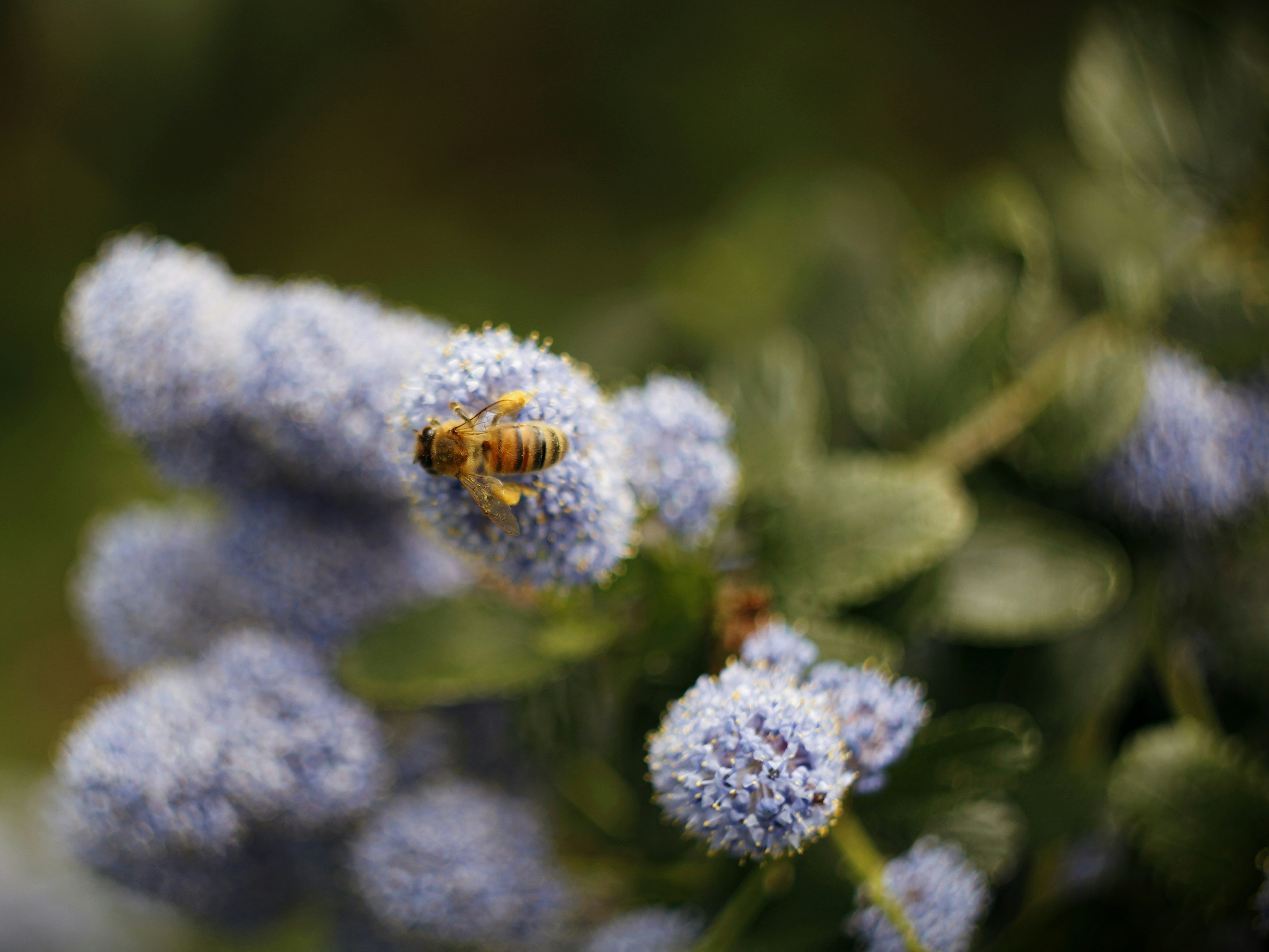 Photo by dearsunflower