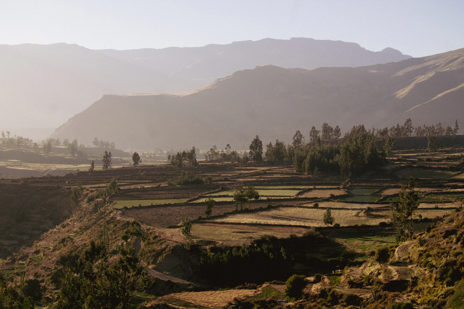 Terraced fields and mountains in the Colca Valley