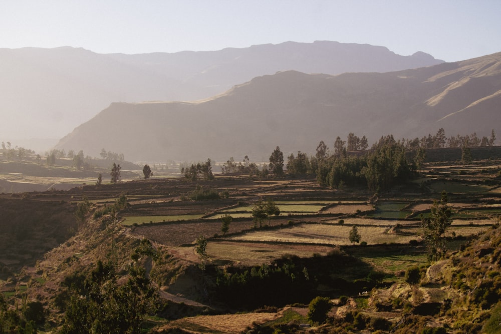 a view of a valley with mountains in the background