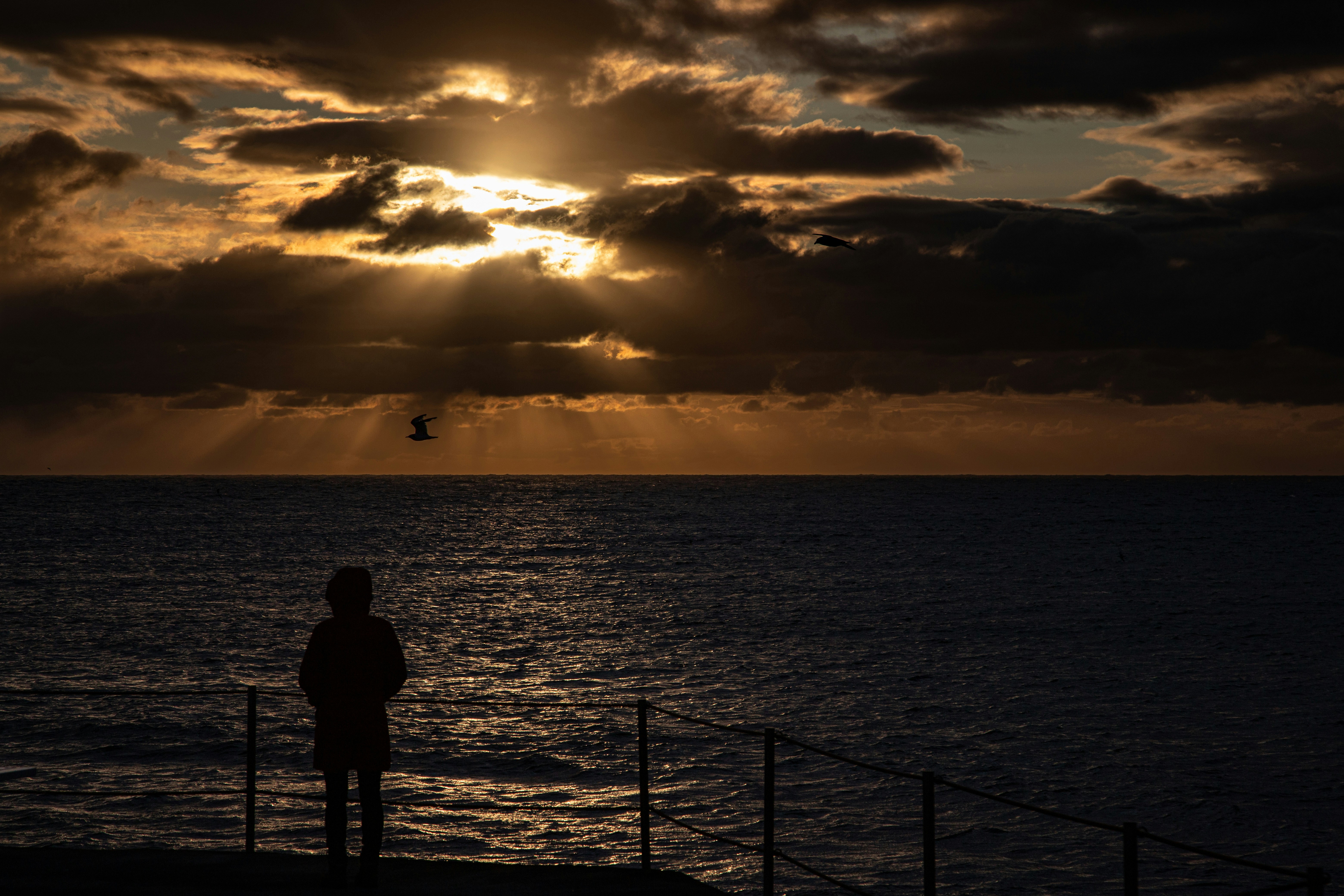 Photo by hdbernd