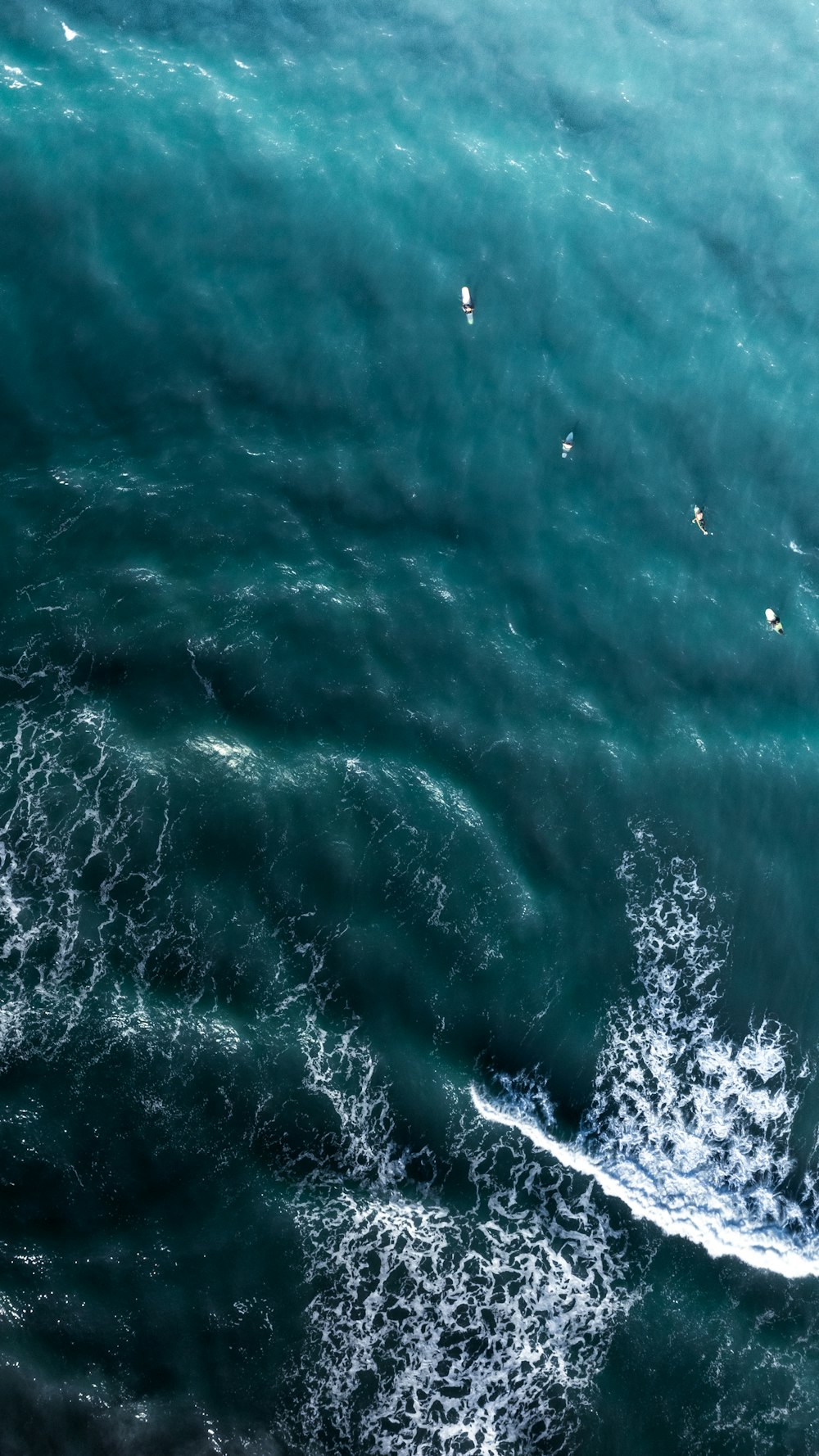 a group of people riding surfboards on top of a large body of water