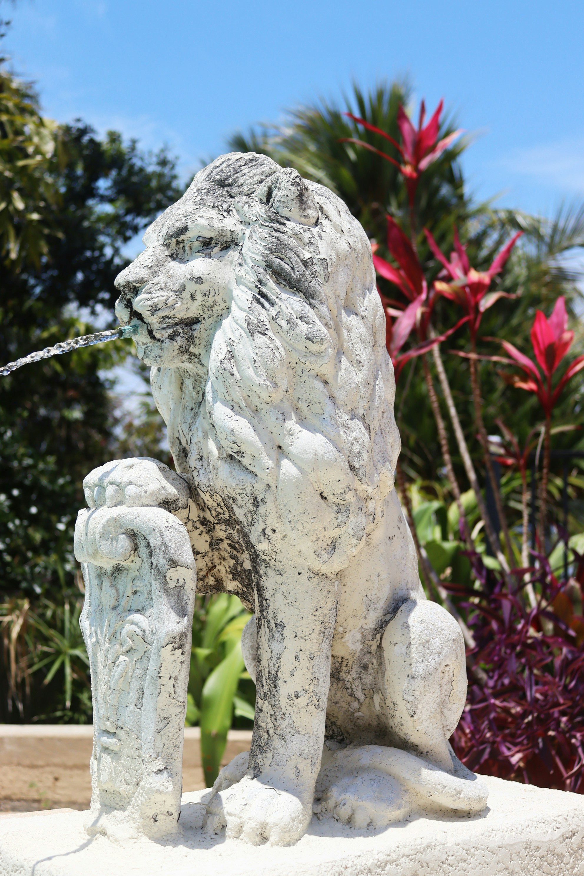 Photo by alexanthony