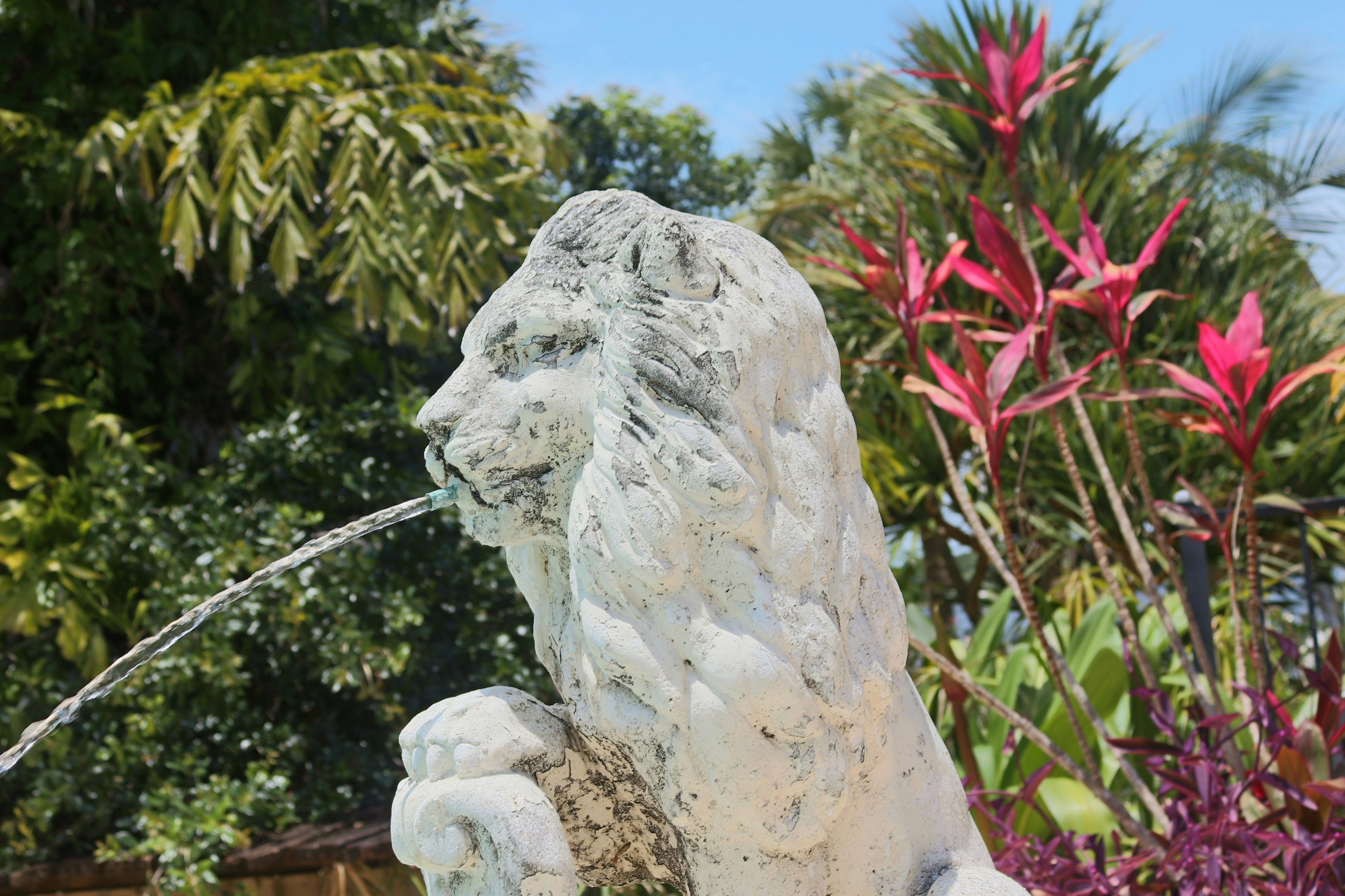 Photo by alexanthony