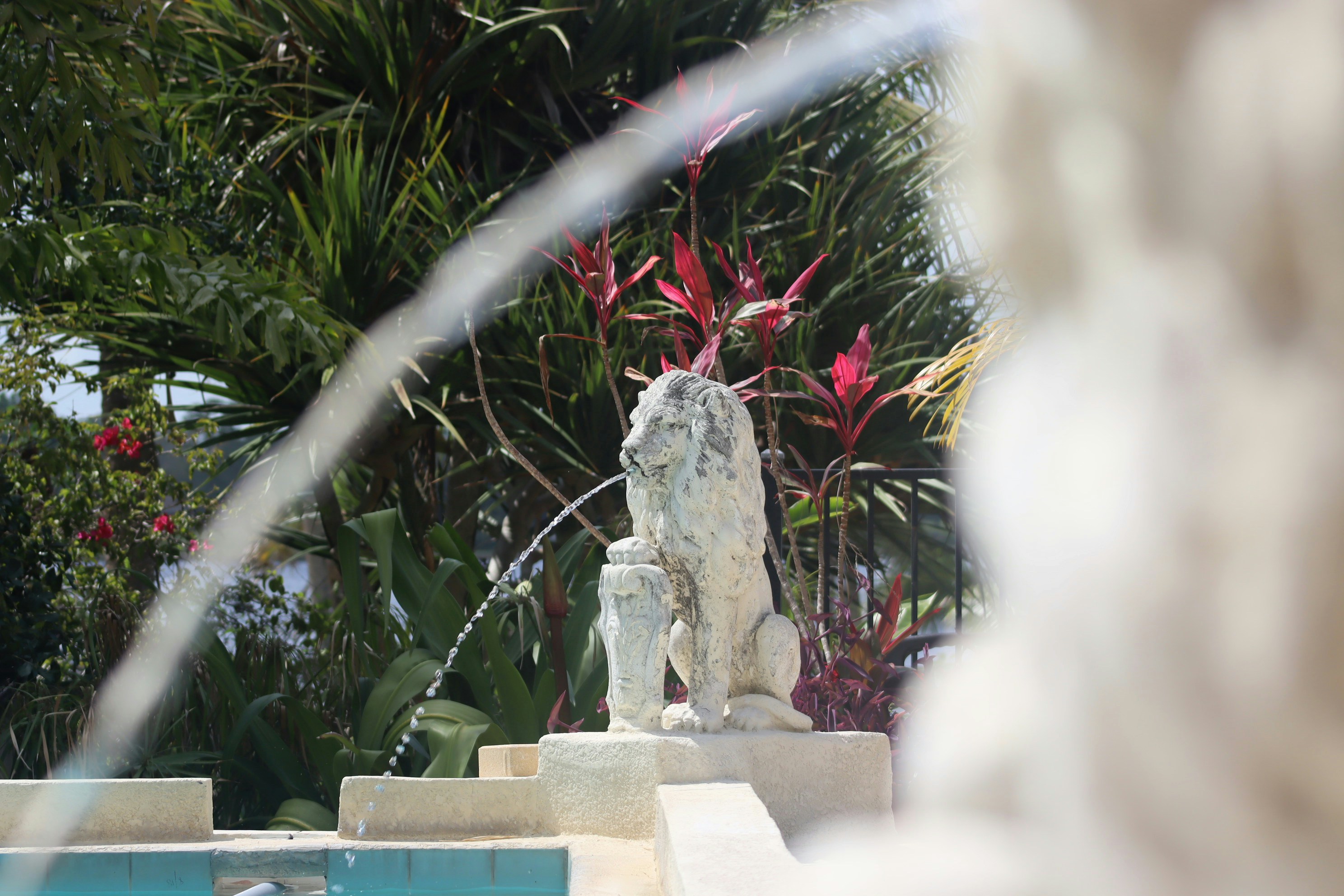 Photo by alexanthony