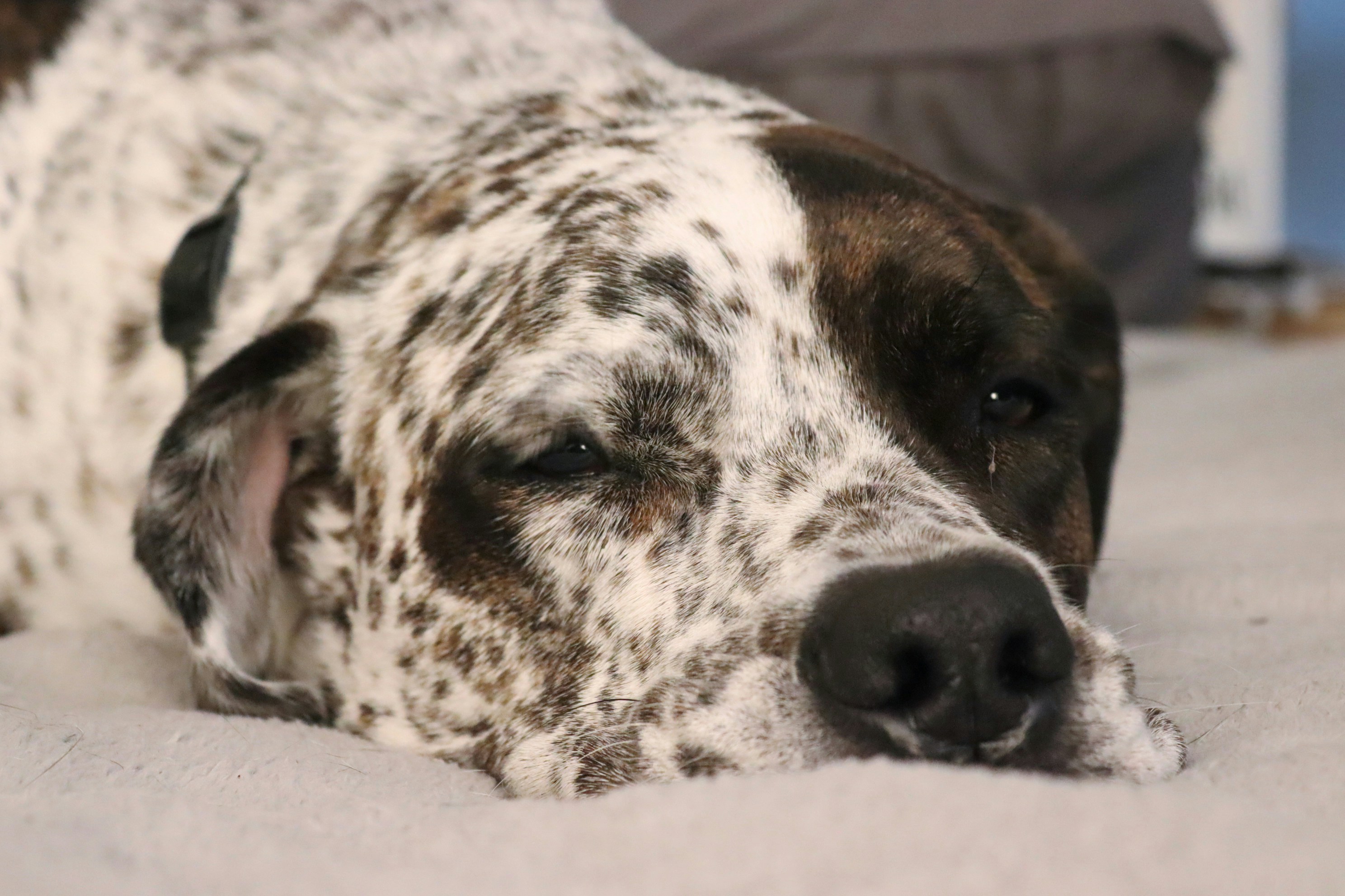 Photo by alexanthony