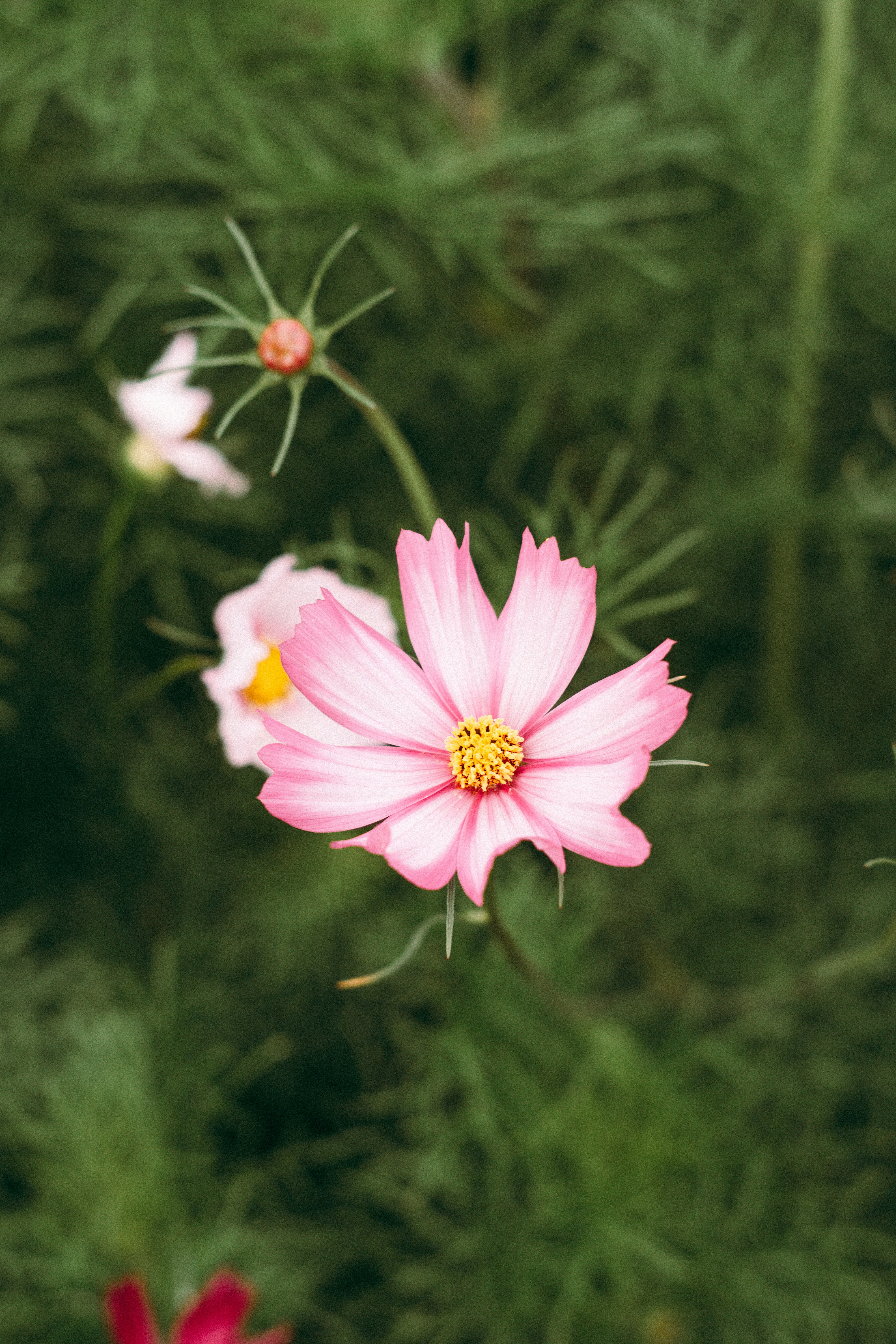 Photo by dashakrotiphoto