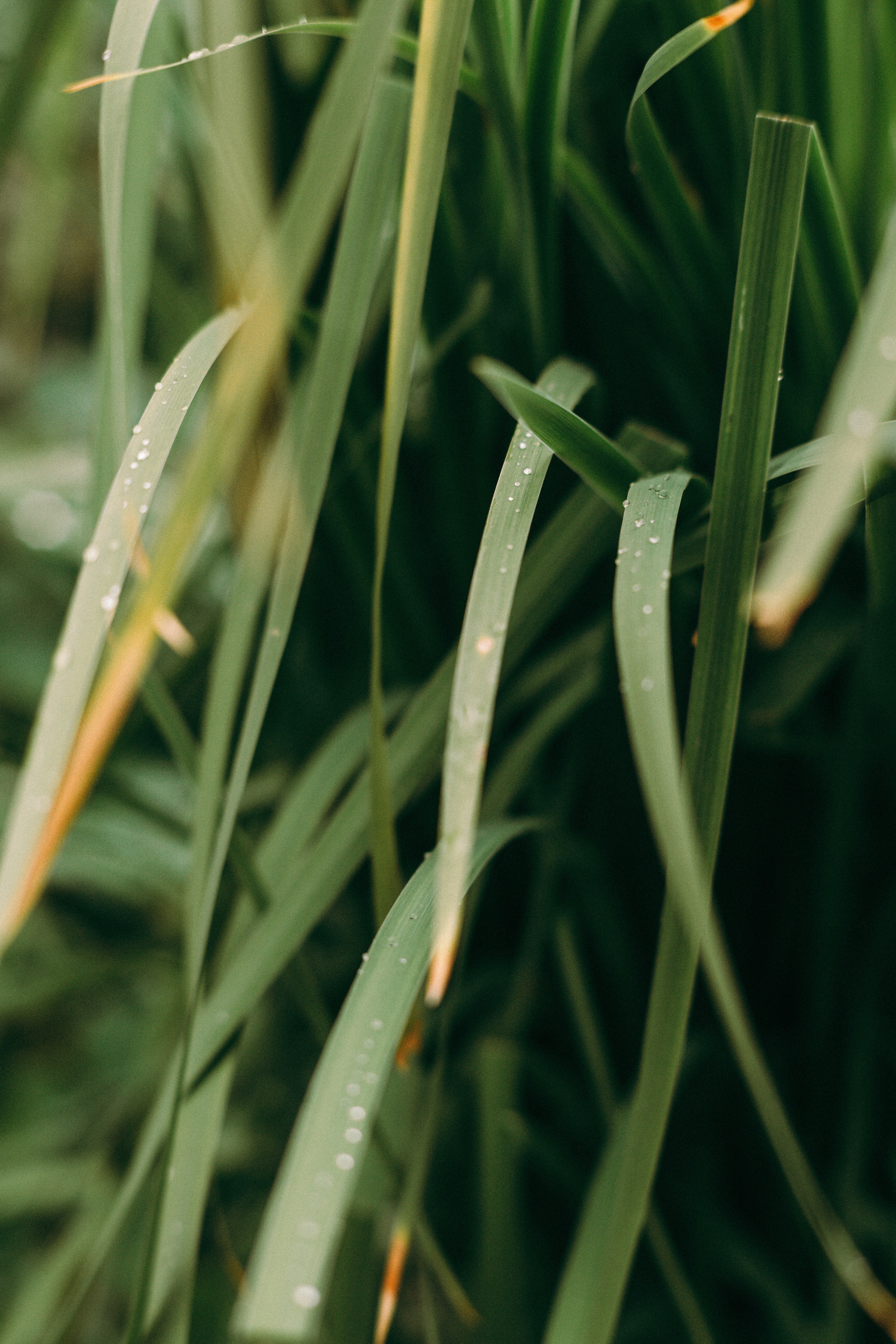 Photo by dashakrotiphoto