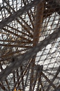 A complex structure of intertwined metal rods and mesh is seen. The image reveals a seemingly chaotic arrangement of wires and bars forming an intricate pattern, with light passing through the gaps, creating contrasting shadows.
