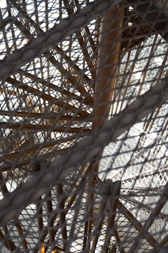 A complex structure of intertwined metal rods and mesh is seen. The image reveals a seemingly chaotic arrangement of wires and bars forming an intricate pattern, with light passing through the gaps, creating contrasting shadows.