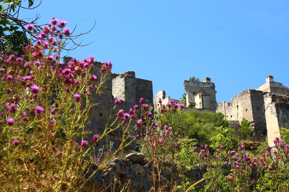 a view of a castle from the side of a hill