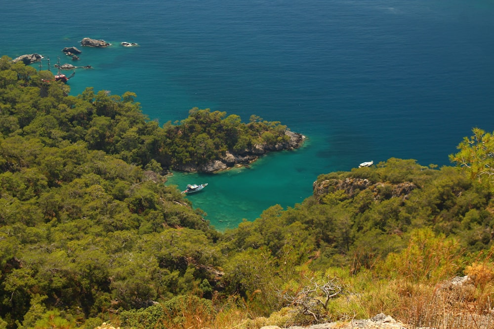 a body of water surrounded by lush green trees