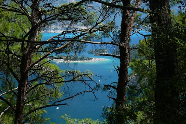 A view of a lake through some trees — Fethiye & Ölüdeniz, Turkey