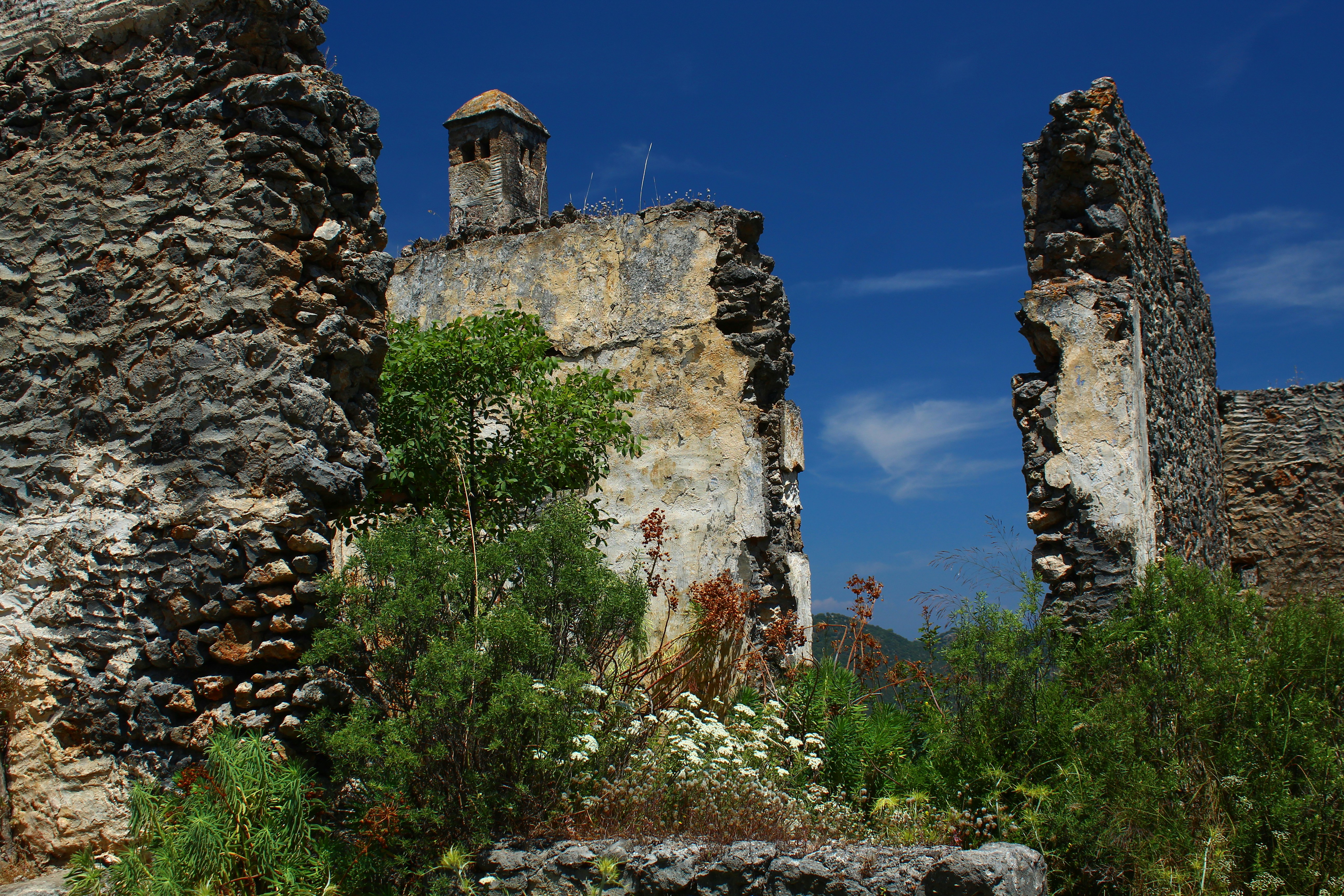 Photo by sevaltorun