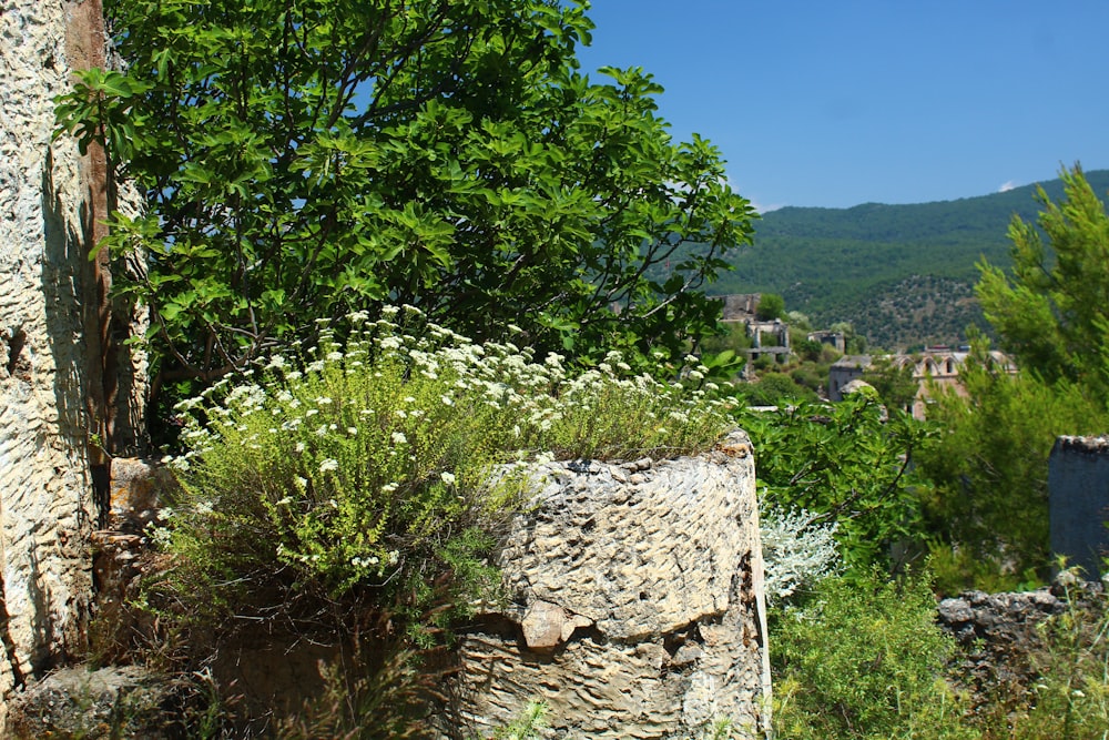 a stone structure with a tree in the background