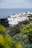 A coastal scene with numerous white buildings clustered together on an elevated landmass near the sea. Palm trees are interspersed among the structures and lush greenery and various plants occupy the foreground, with the deep blue ocean stretching into the horizon in the background.