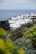 A coastal scene with numerous white buildings clustered together on an elevated landmass near the sea. Palm trees are interspersed among the structures and lush greenery and various plants occupy the foreground, with the deep blue ocean stretching into the horizon in the background.