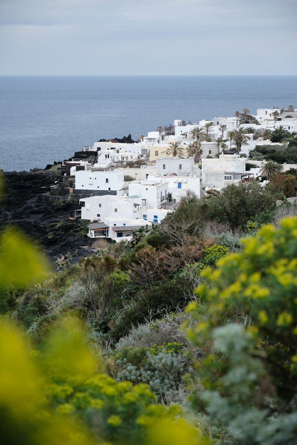 a view of a village on a cliff near the ocean