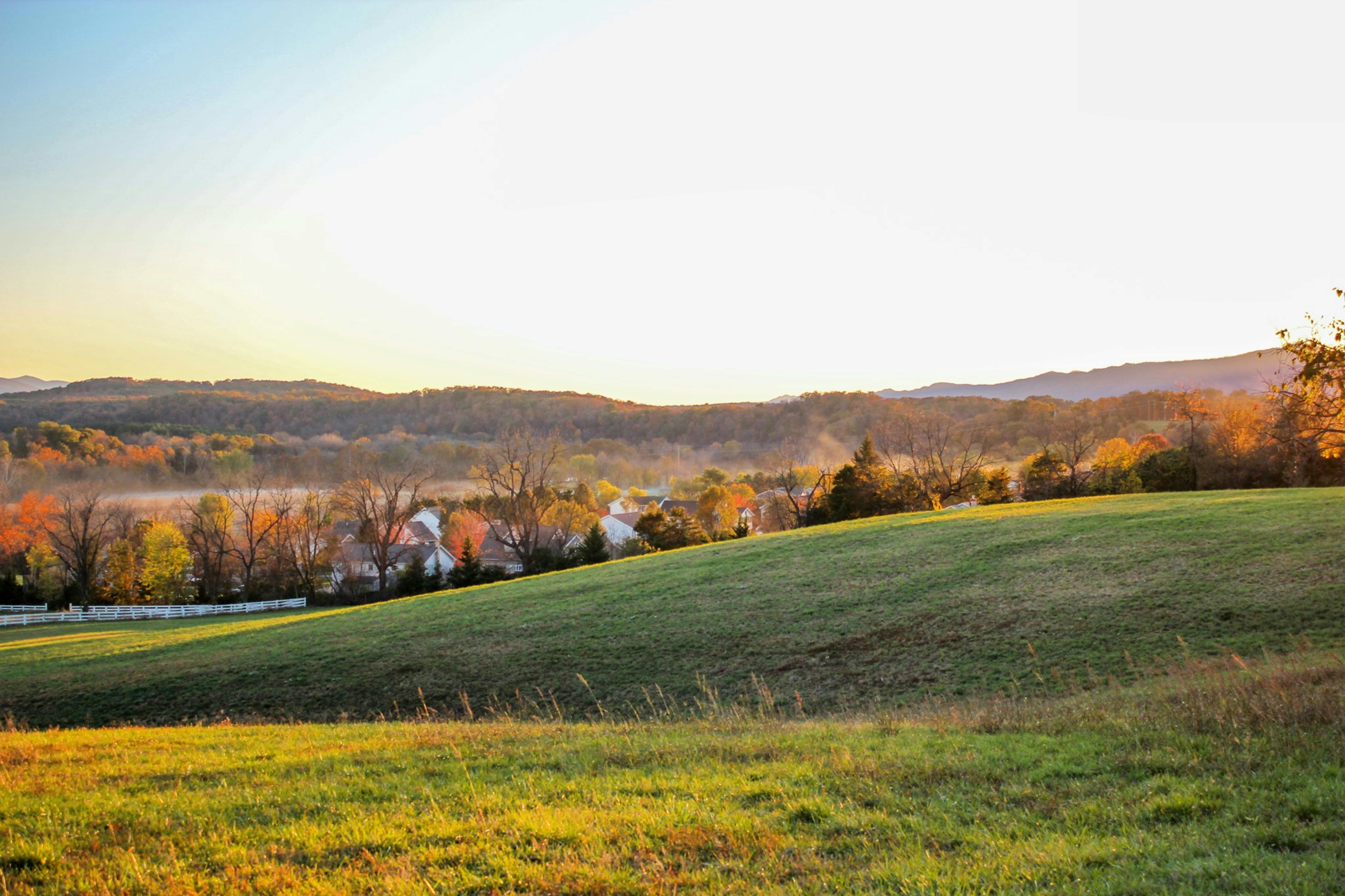 Un campo verde con alberi sullo sfondo