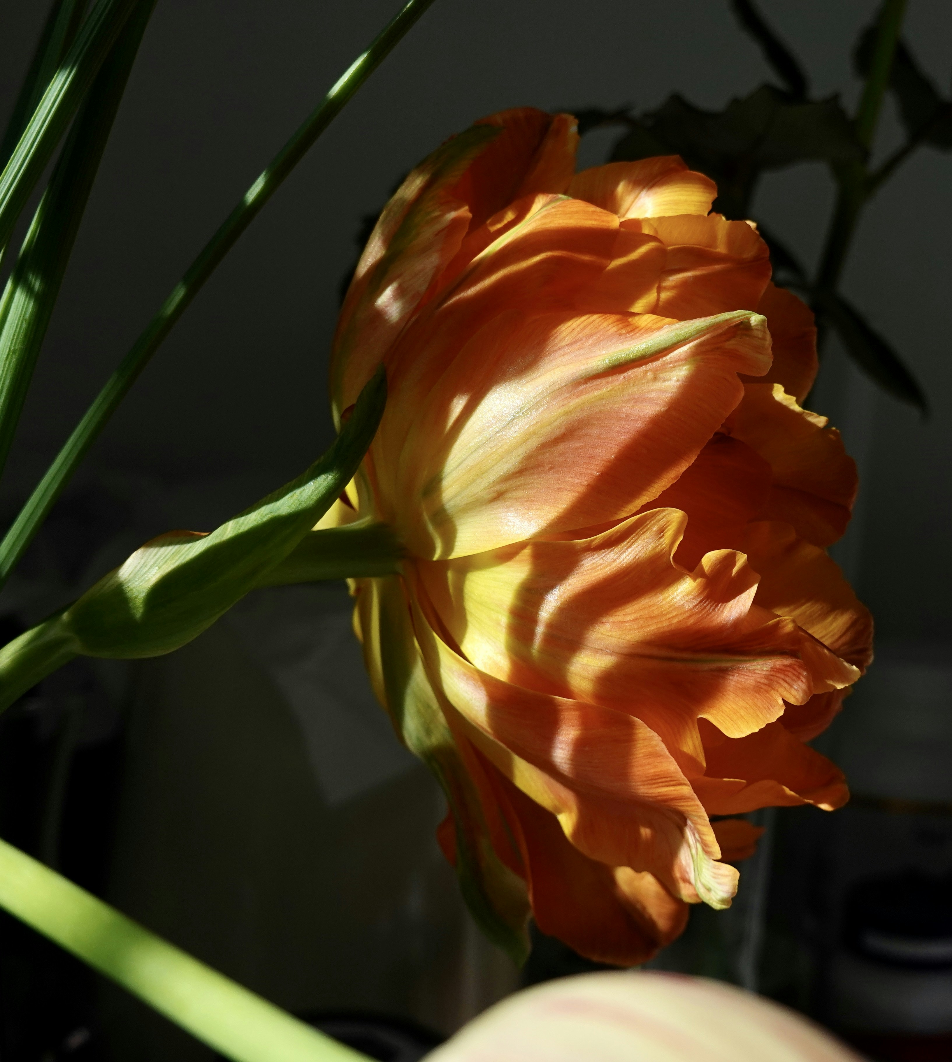 What have you outgrown?