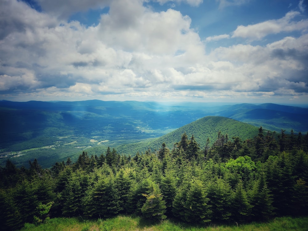 a scenic view of the mountains and trees