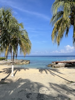 A serene beach scene in Bocas del Toro with turquoise waters, palm trees, and a wooden pier stretching into the sea.