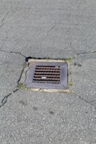 A metal drain cover is set into cracked asphalt pavement. Some small patches of grass are visible around the edges of the drain.