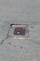 A metal drain cover is set into cracked asphalt pavement. Some small patches of grass are visible around the edges of the drain.