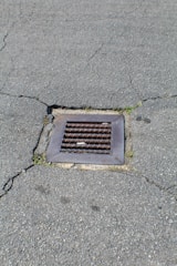 A metal drain cover is set into cracked asphalt pavement. Some small patches of grass are visible around the edges of the drain.