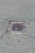 A metal drain cover is set into cracked asphalt pavement. Some small patches of grass are visible around the edges of the drain.