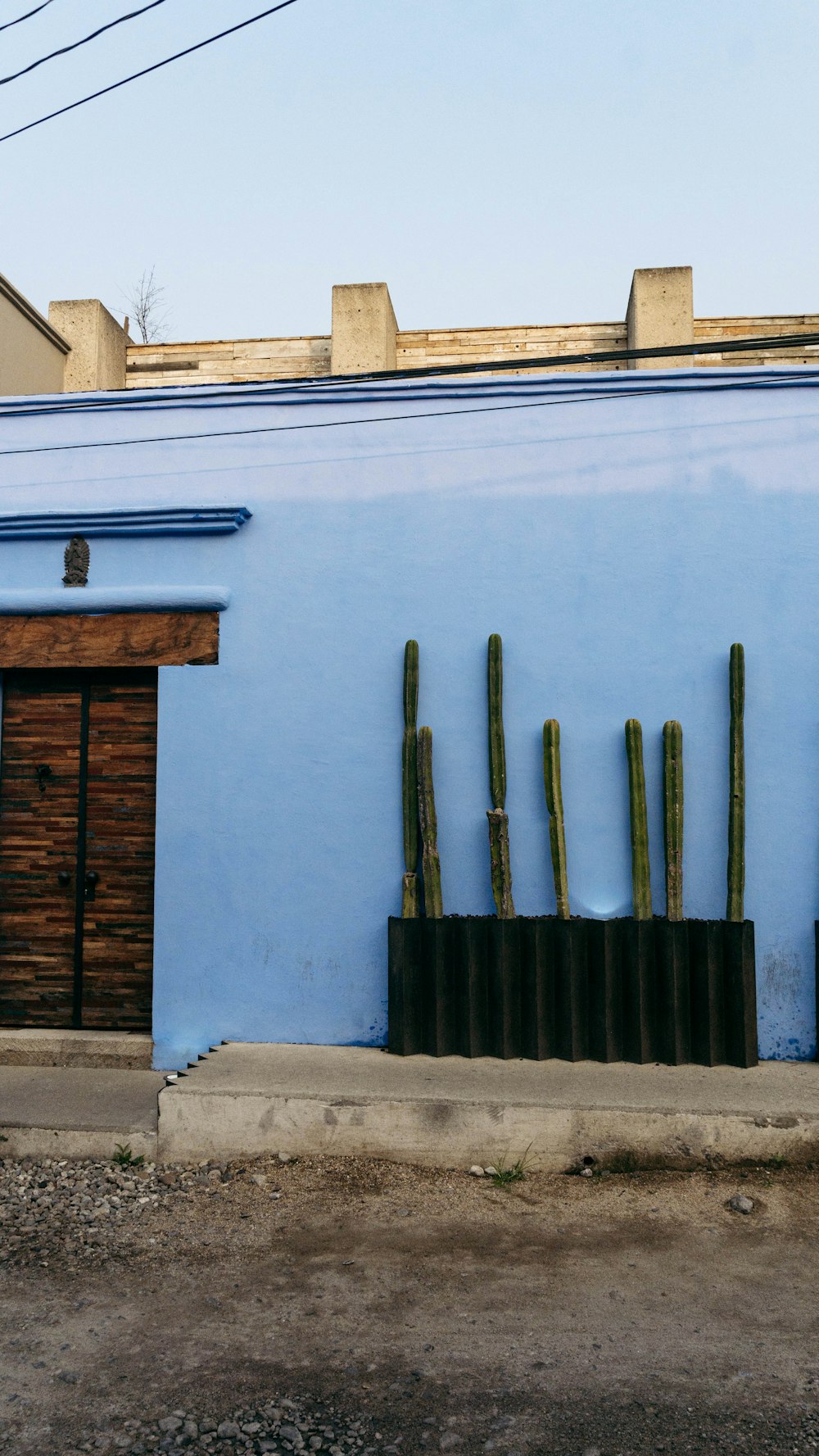 Un edificio azul con un montón de cactus frente a él