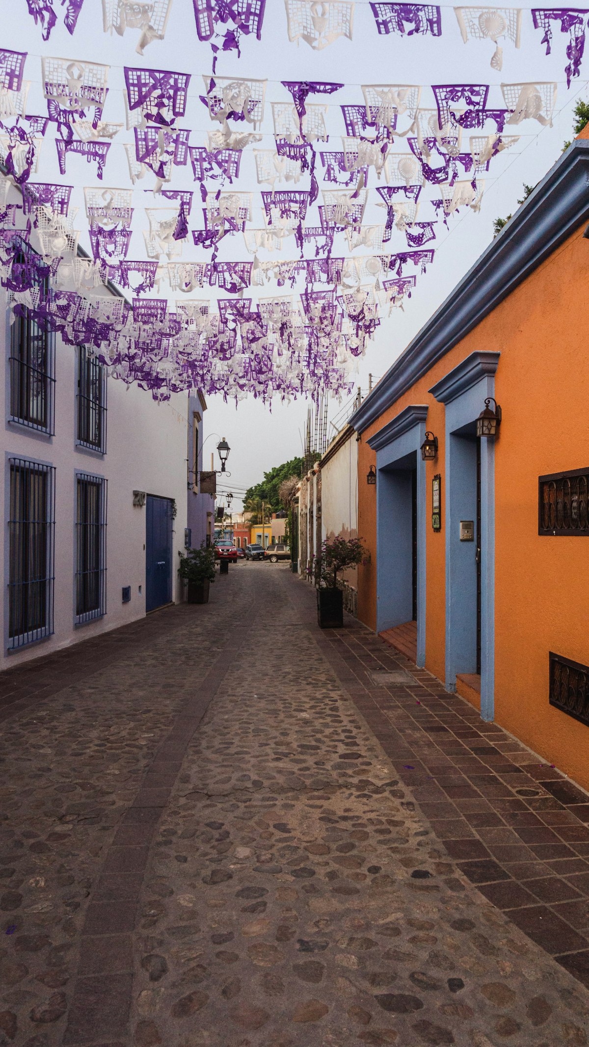 Strada di Oaxaca con bandiere colorate e edifici coloniali, Messico