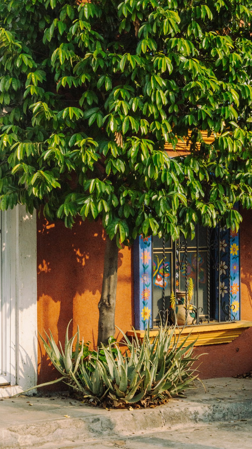 a bench under a tree in front of a building