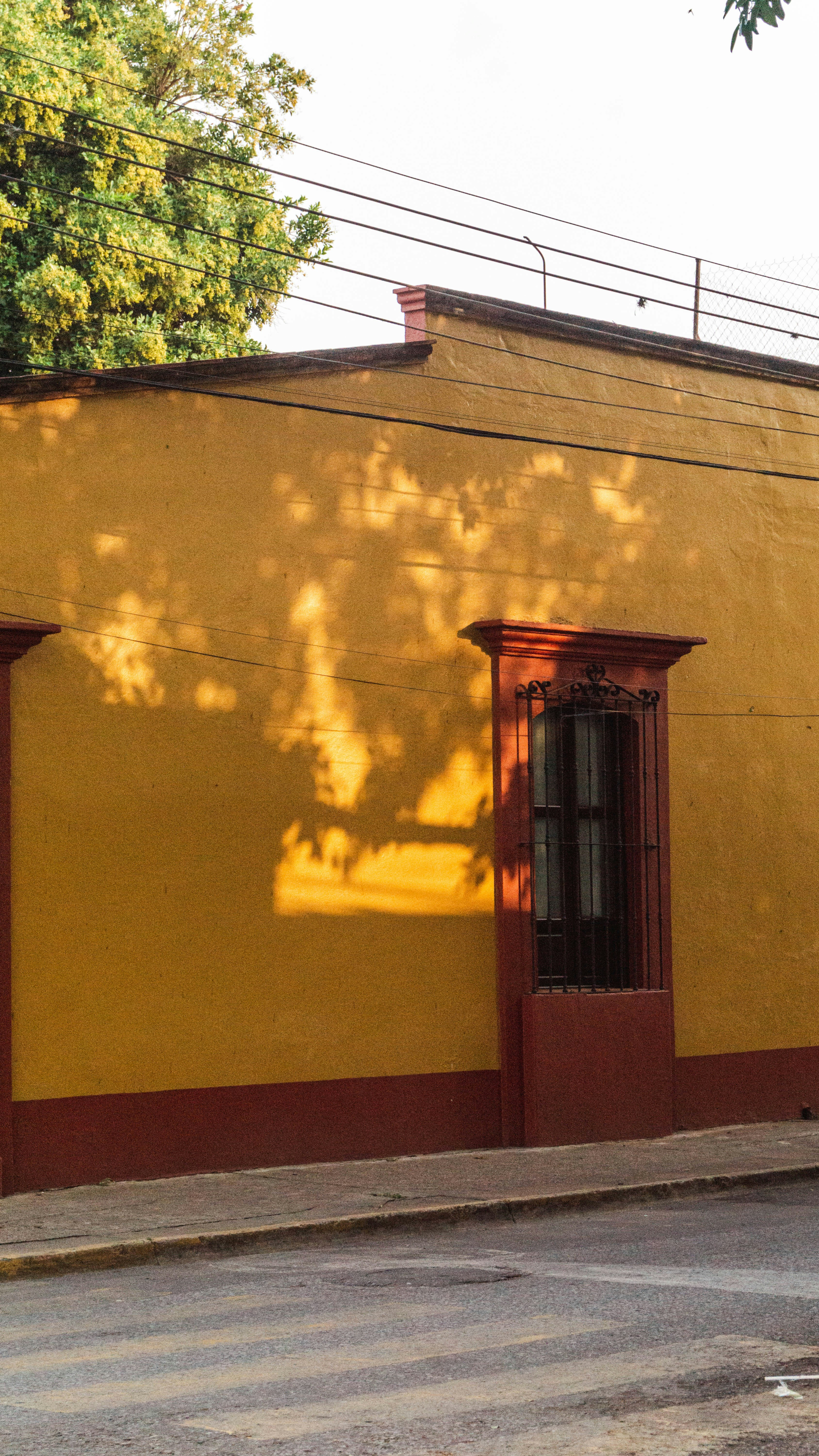 Photo by anainsomnia