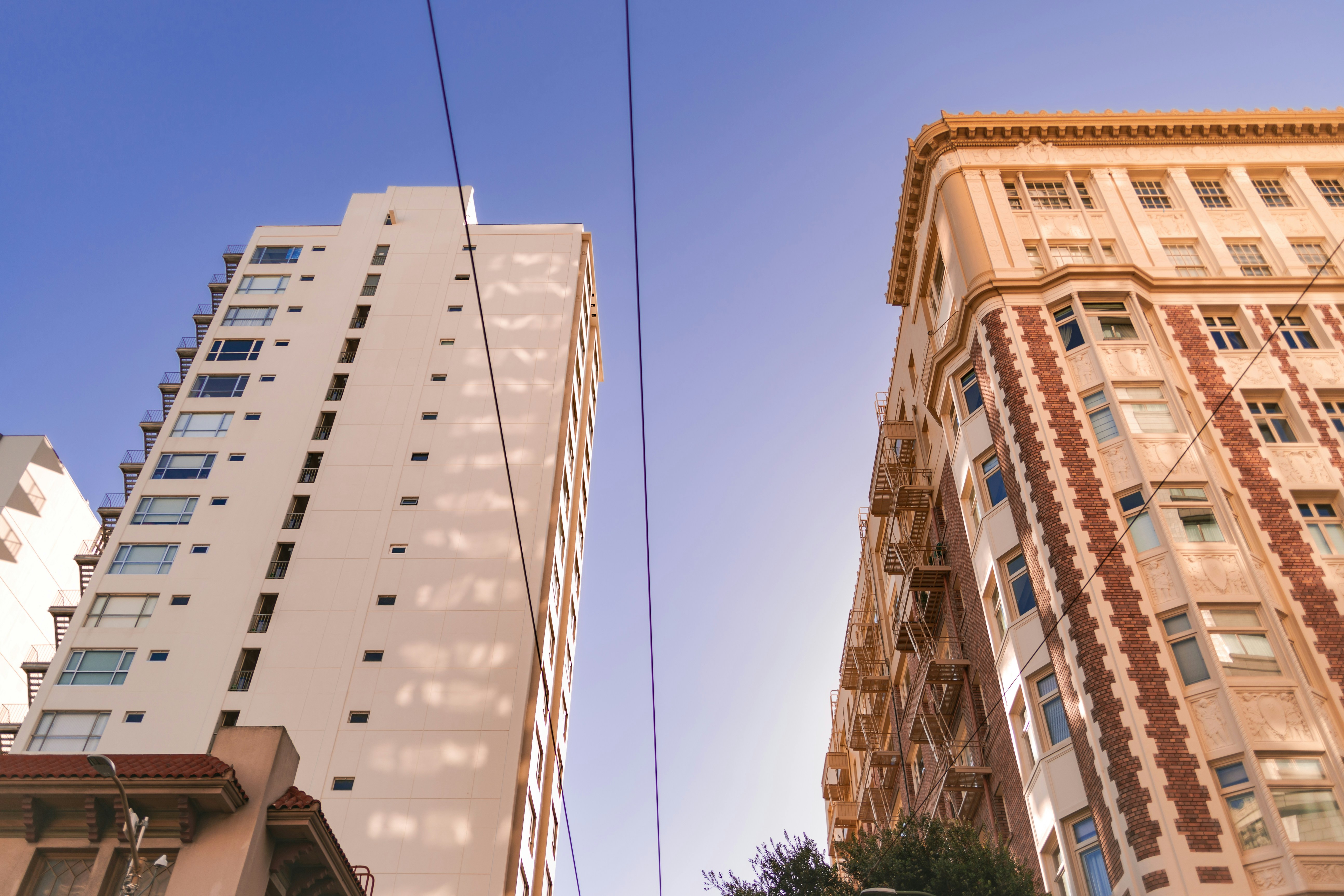 Photo by ar_potraits