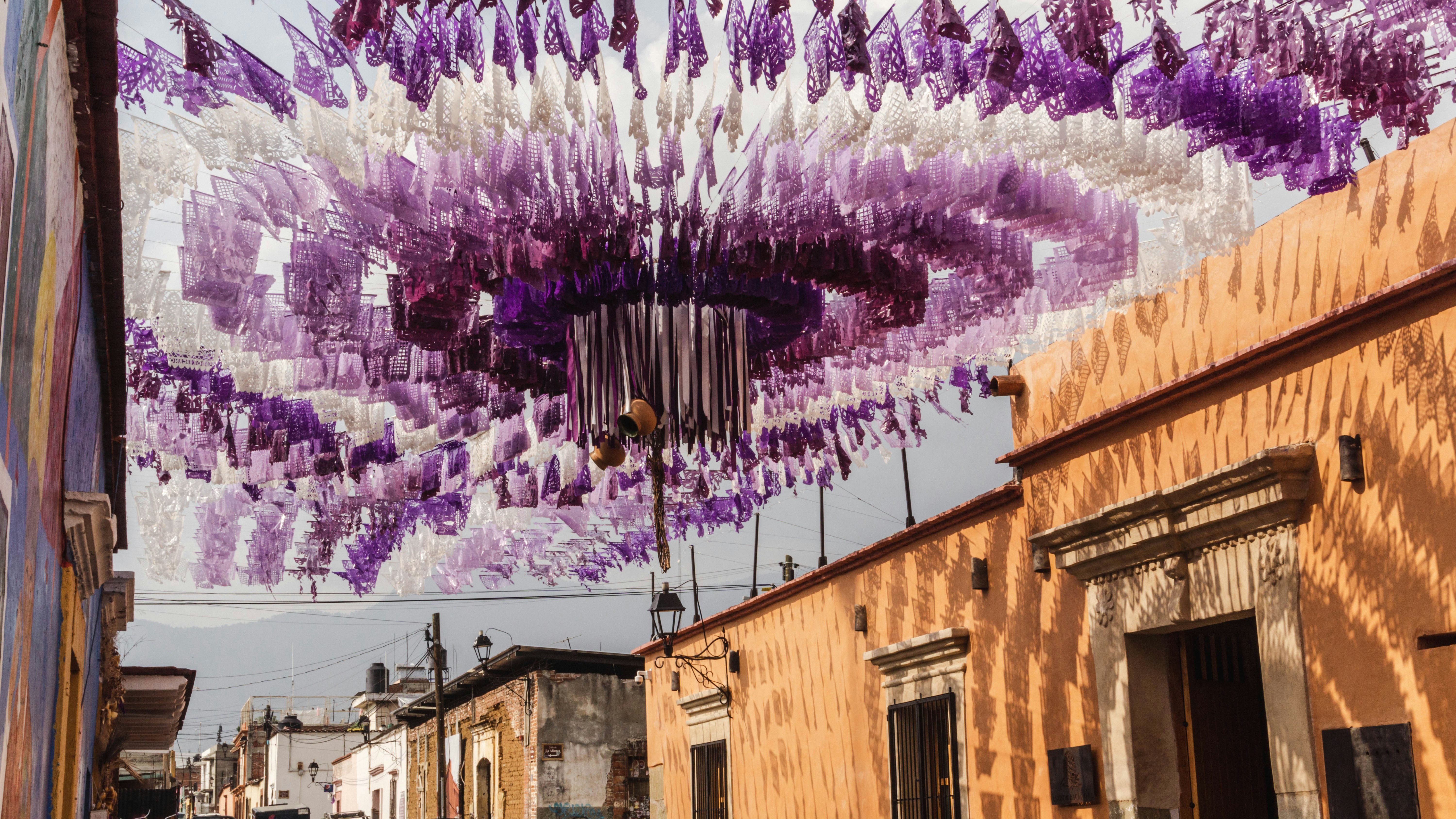 a bunch of purple flowers hanging from the ceiling, 