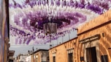 a bunch of purple flowers hanging from the ceiling