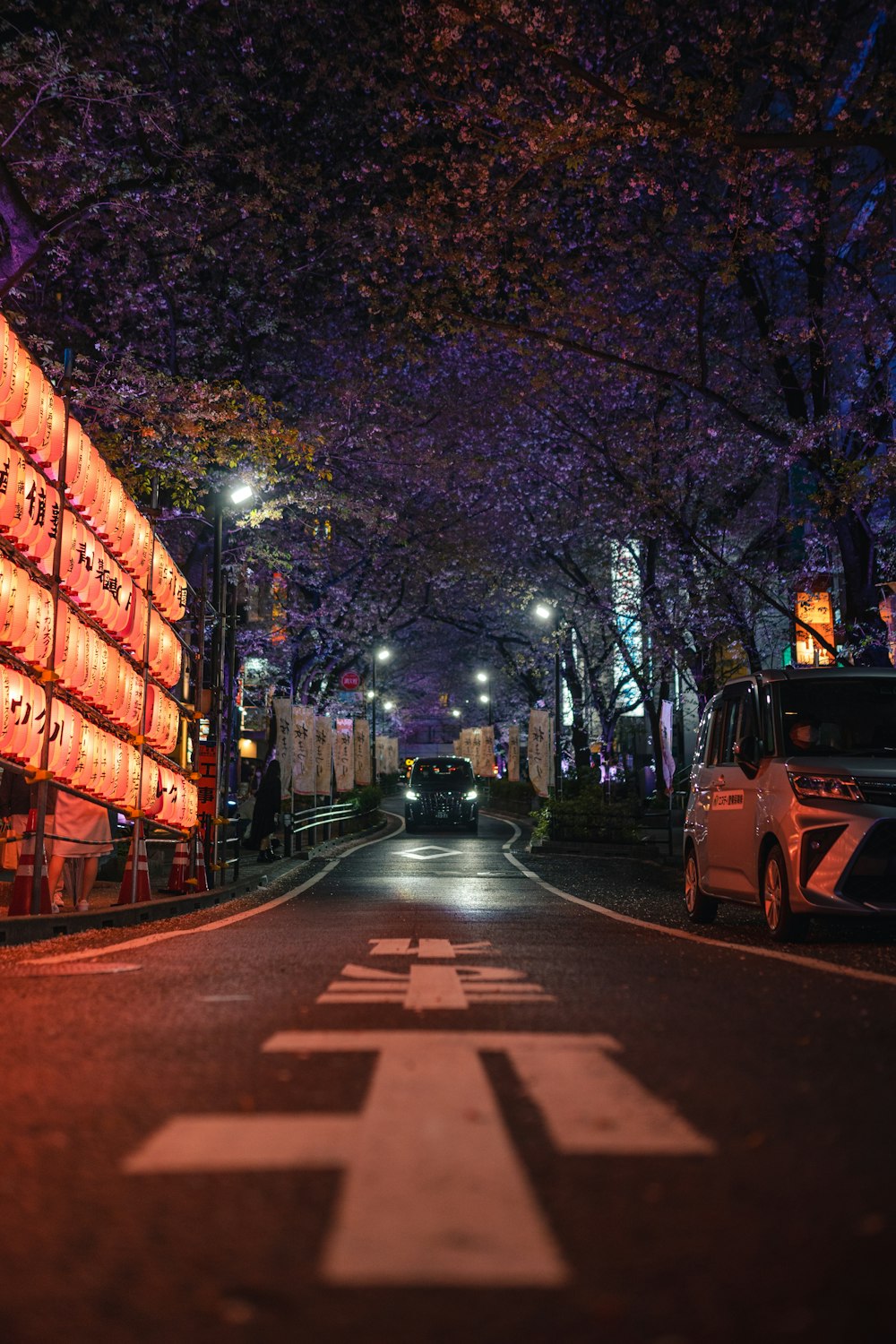 a street lined with lots of tall trees